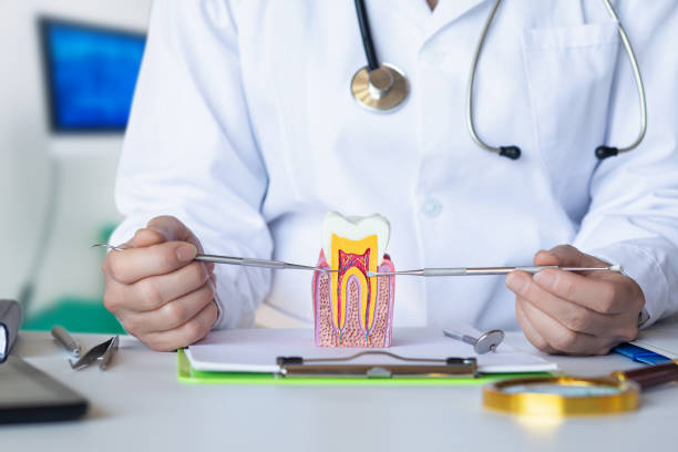 Best Weekend Emergency Dentist in Edgefield, SC